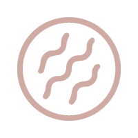 icons_winkle